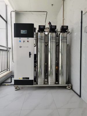 좋은 가격 10L/Hr 20L/Hr 상업적 역오스모스 시스템 농업용 물 필터링 온라인으로